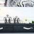 Silver Crown Display